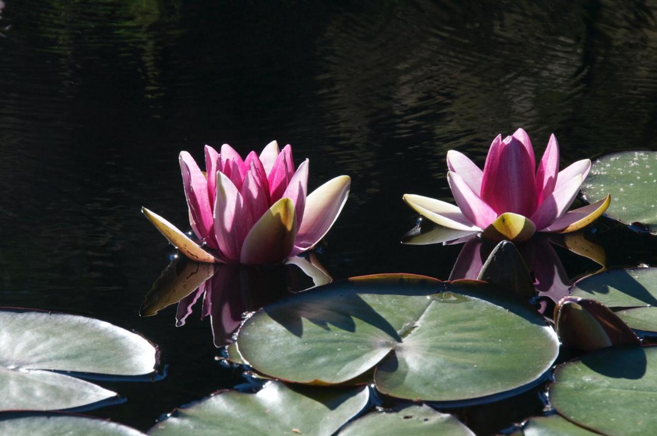 Wetherly Inn & Spa Ganges Εξωτερικό φωτογραφία